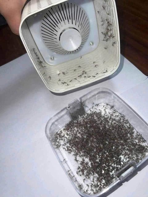 ເຄື່ອງດັກຍຸ້ງ