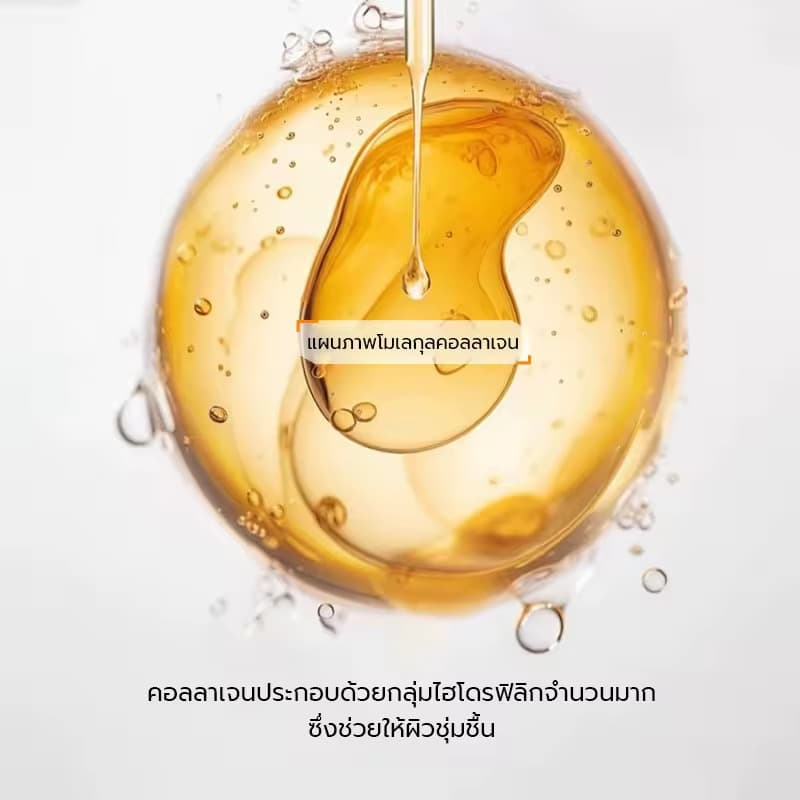 ແຜ່ນມາກຫນ້າ — 5
